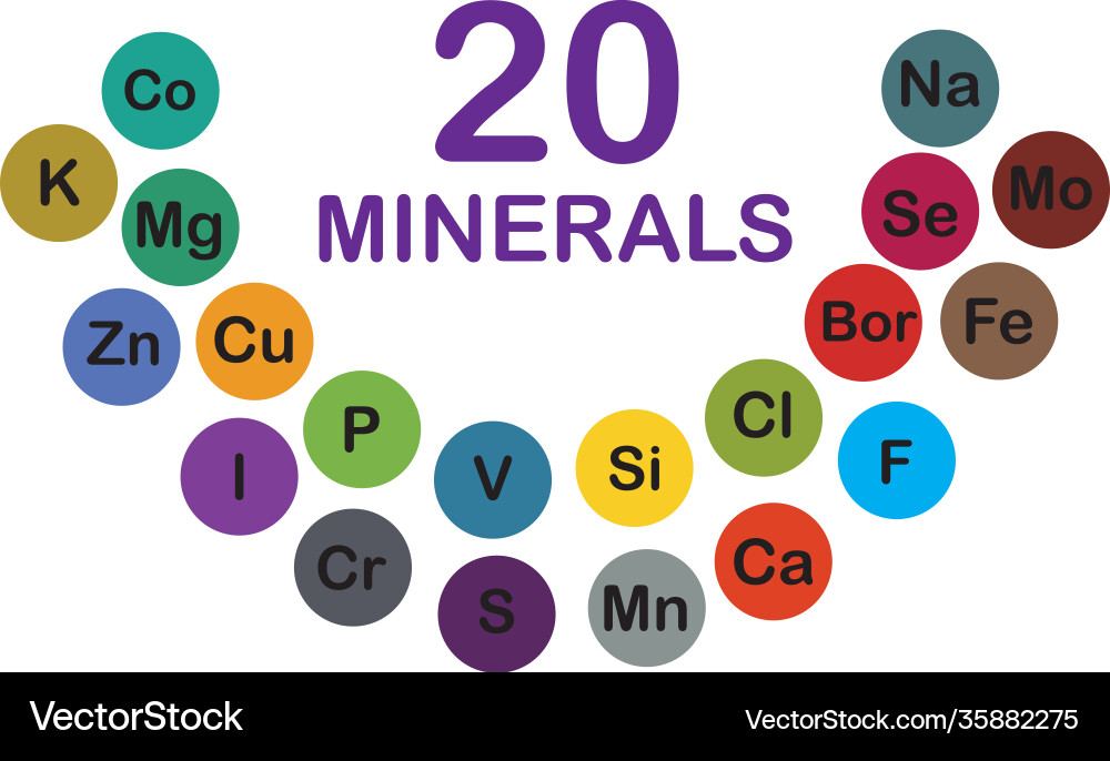 Minerals microelements and macro elements useful Minerals microelements and macro elements useful vector image