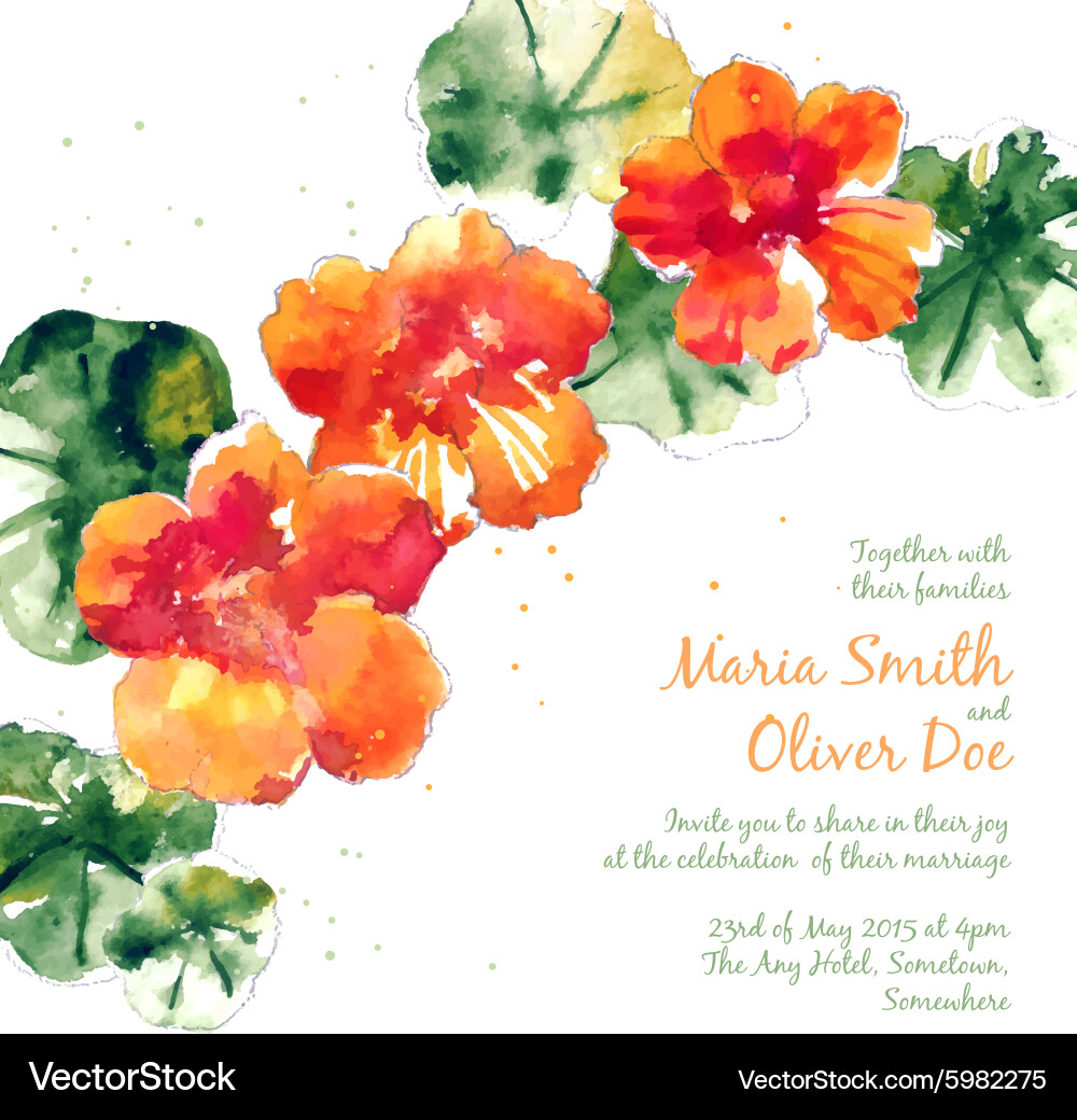 Watercolor Nasturtium Wedding Background Vector Image
