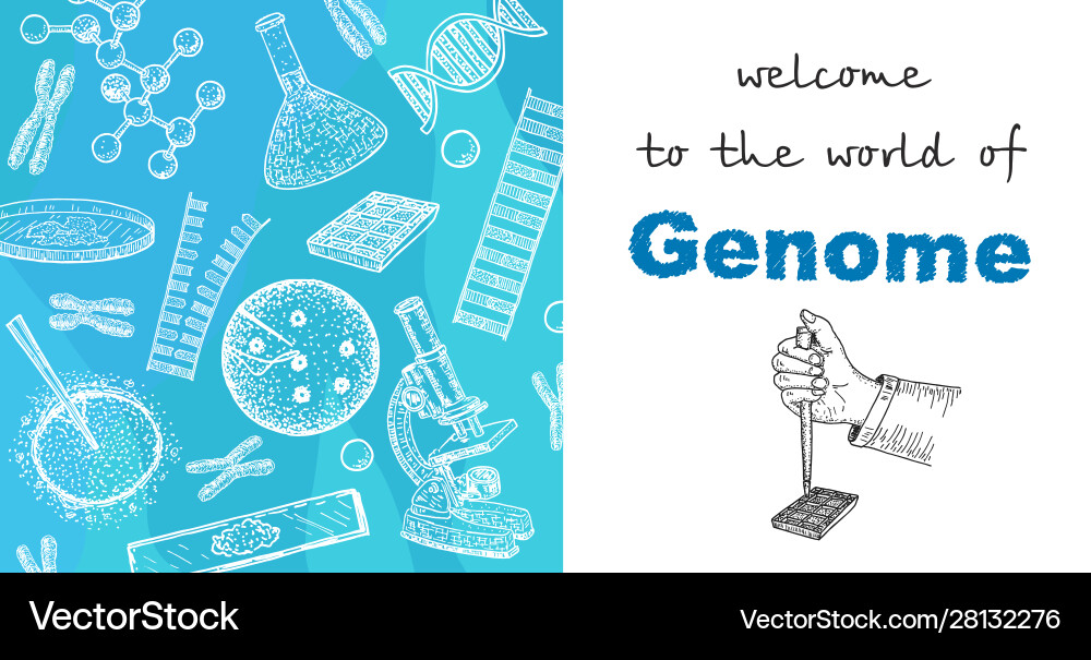 Human genome project health and biochemistry Human genome project health and biochemistry vector image