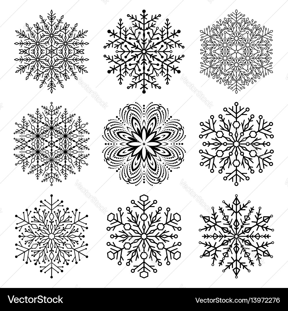 Set of snowflakes Set of snowflakes vector image