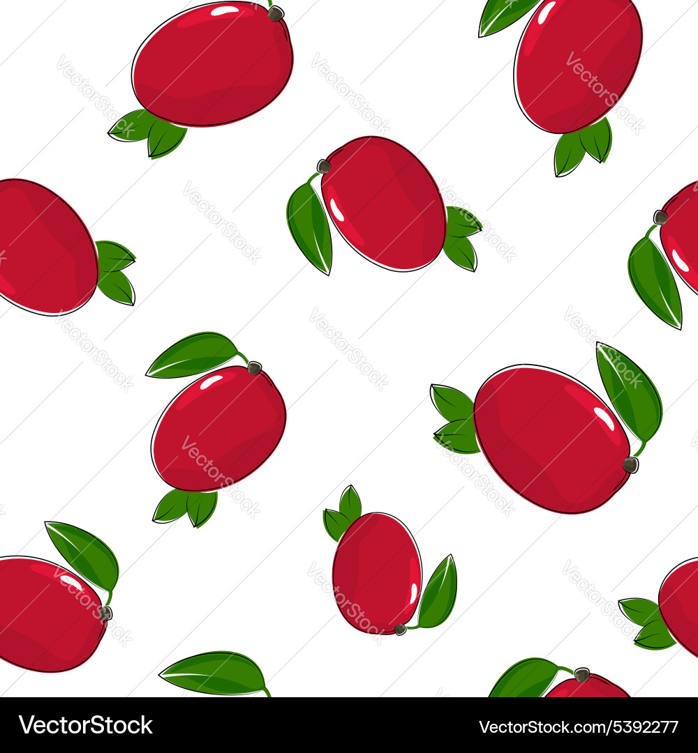 Mango Fruit Pattern vector image