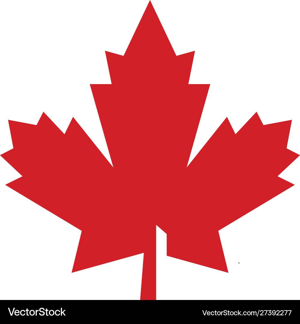 Maple leaf Royalty Free Vector Image - VectorStock