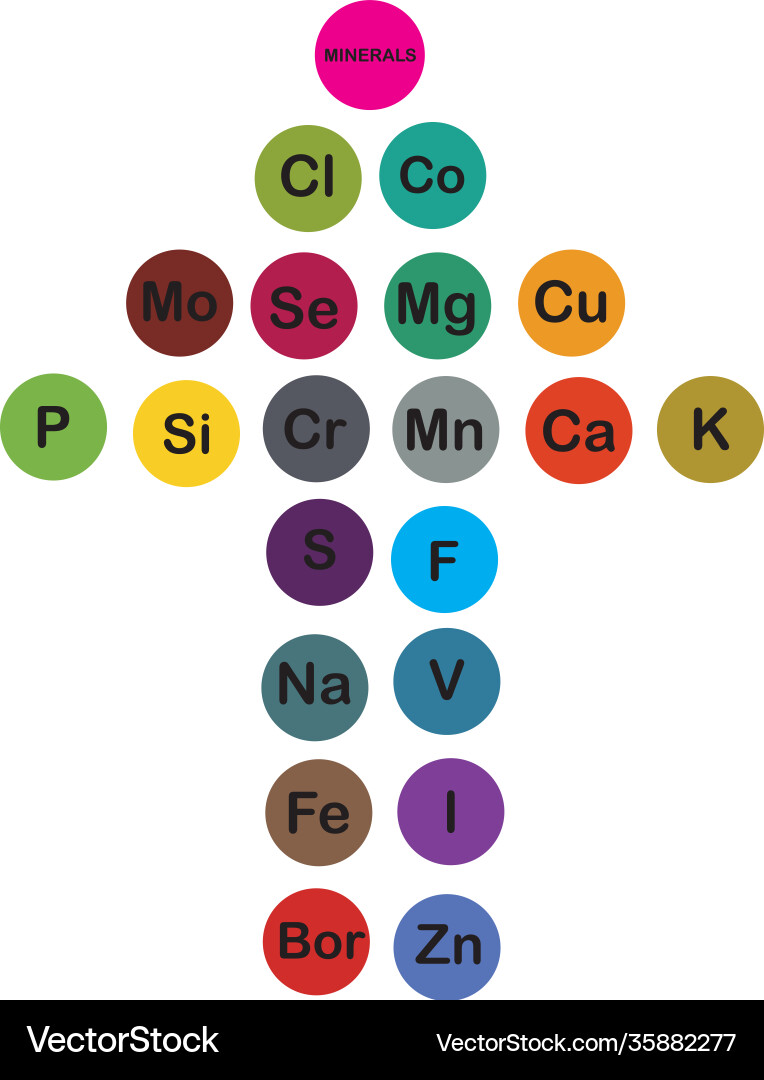 Minerals microelements and macro elements useful Minerals microelements and macro elements useful vector image