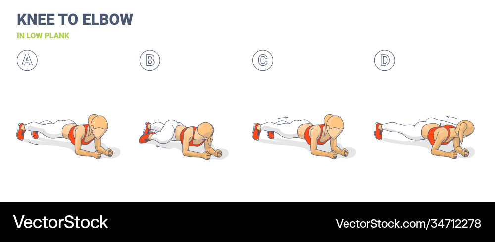 Knee to elbow in low plank female home workout Knee to elbow in low plank female home workout vector image