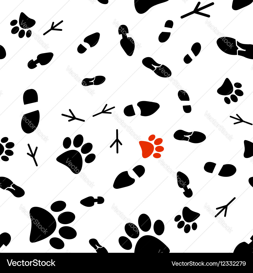A seamless pattern Vector Image