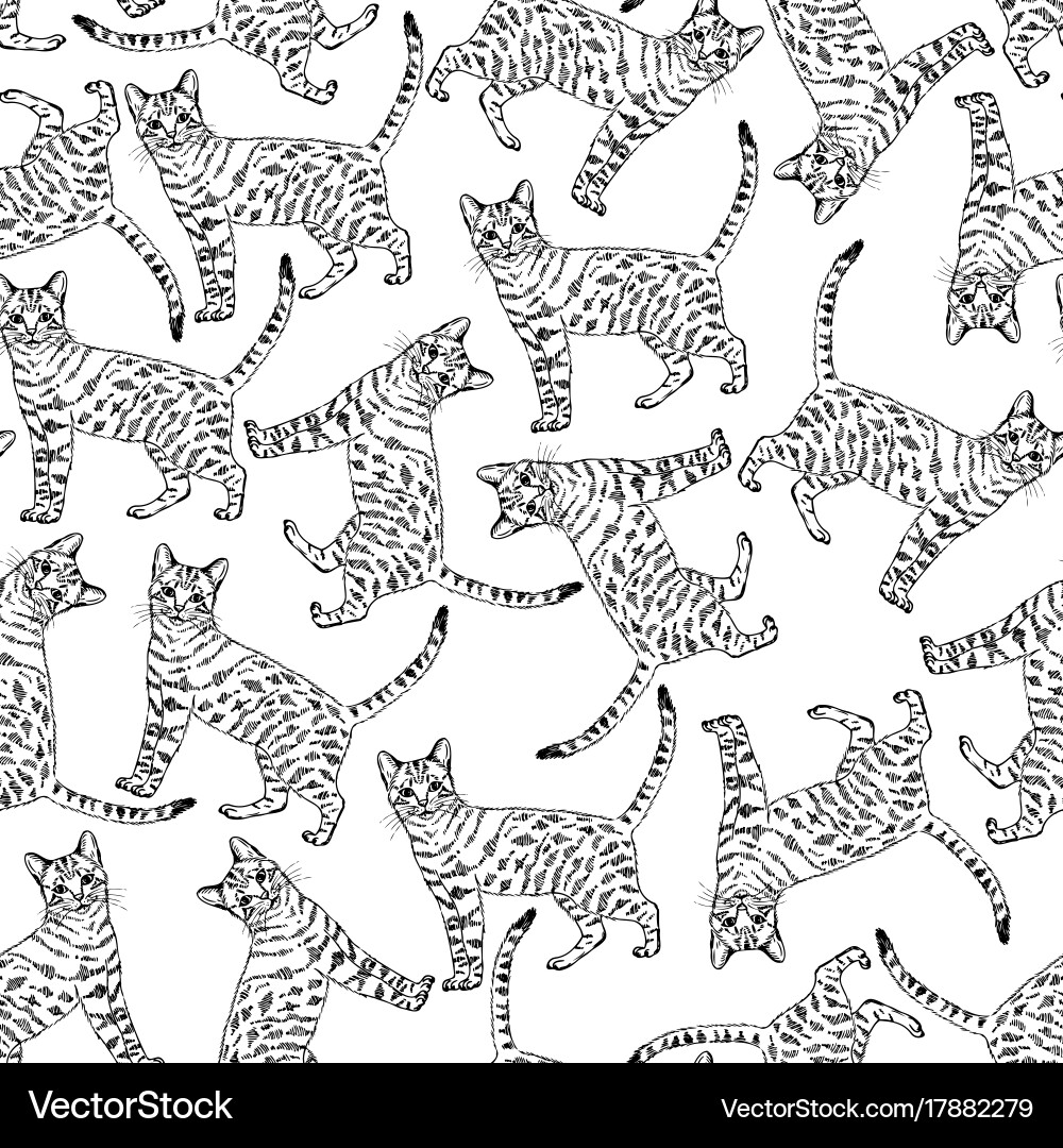 Abstract Geometric Cat Pattern vector image