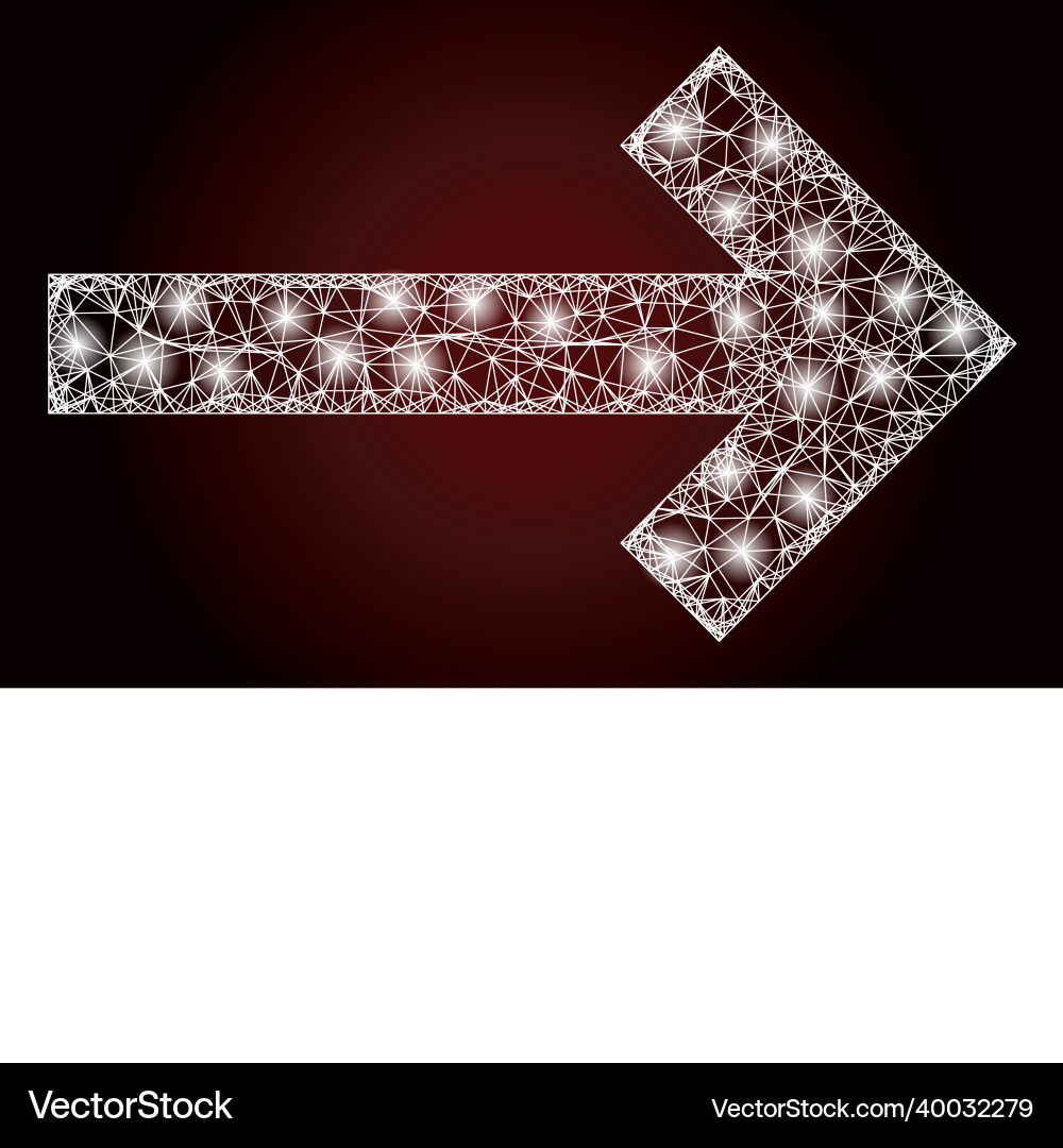 Shiny net mesh direction arrow with lightspots Shiny net mesh direction arrow with lightspots vector image