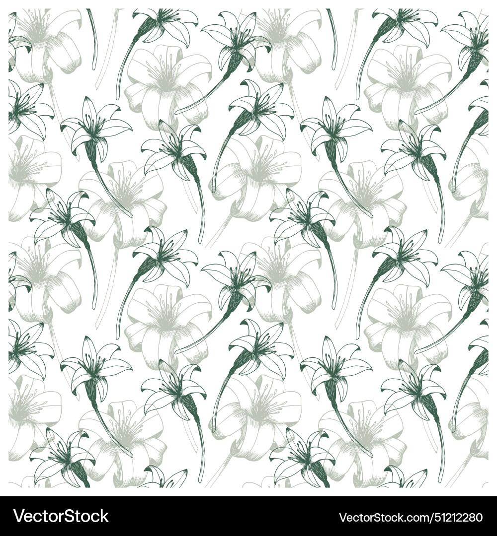 Daylily seamless pattern Vector Image