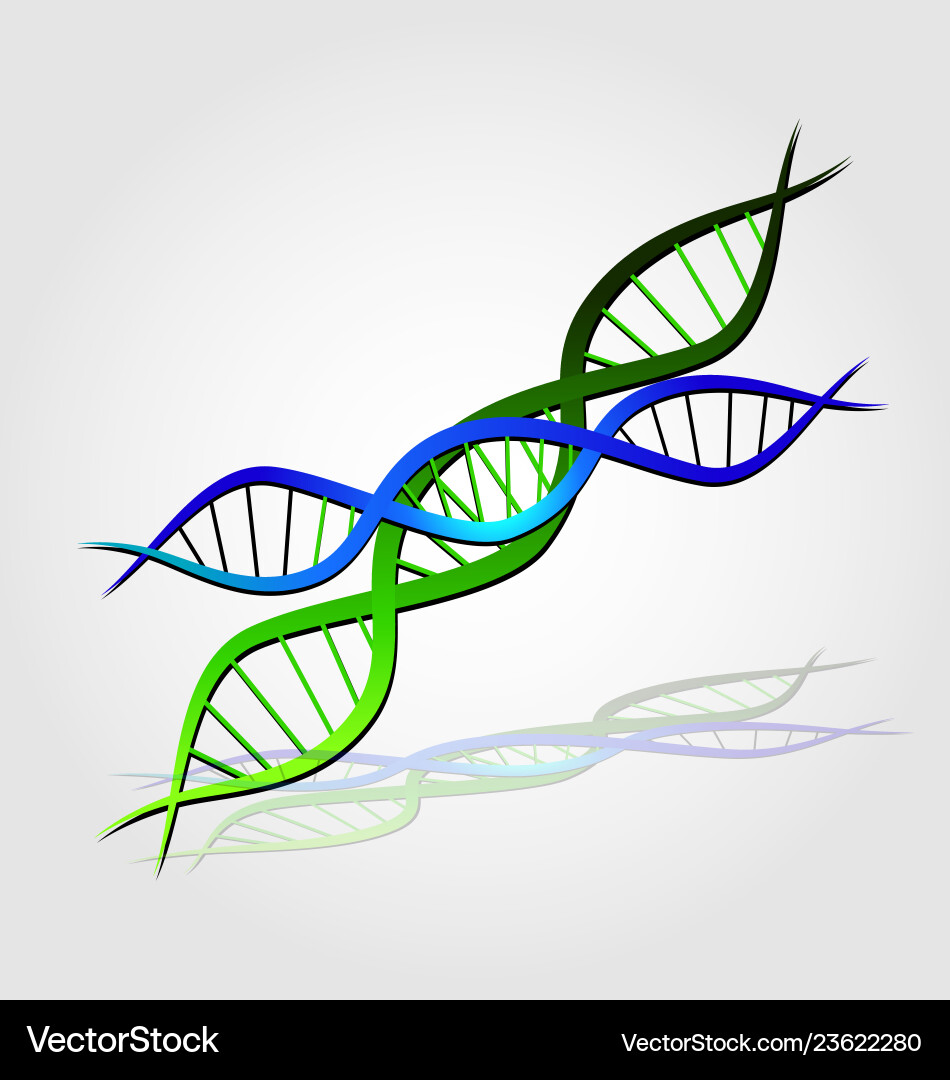 Dna cell logo vector image