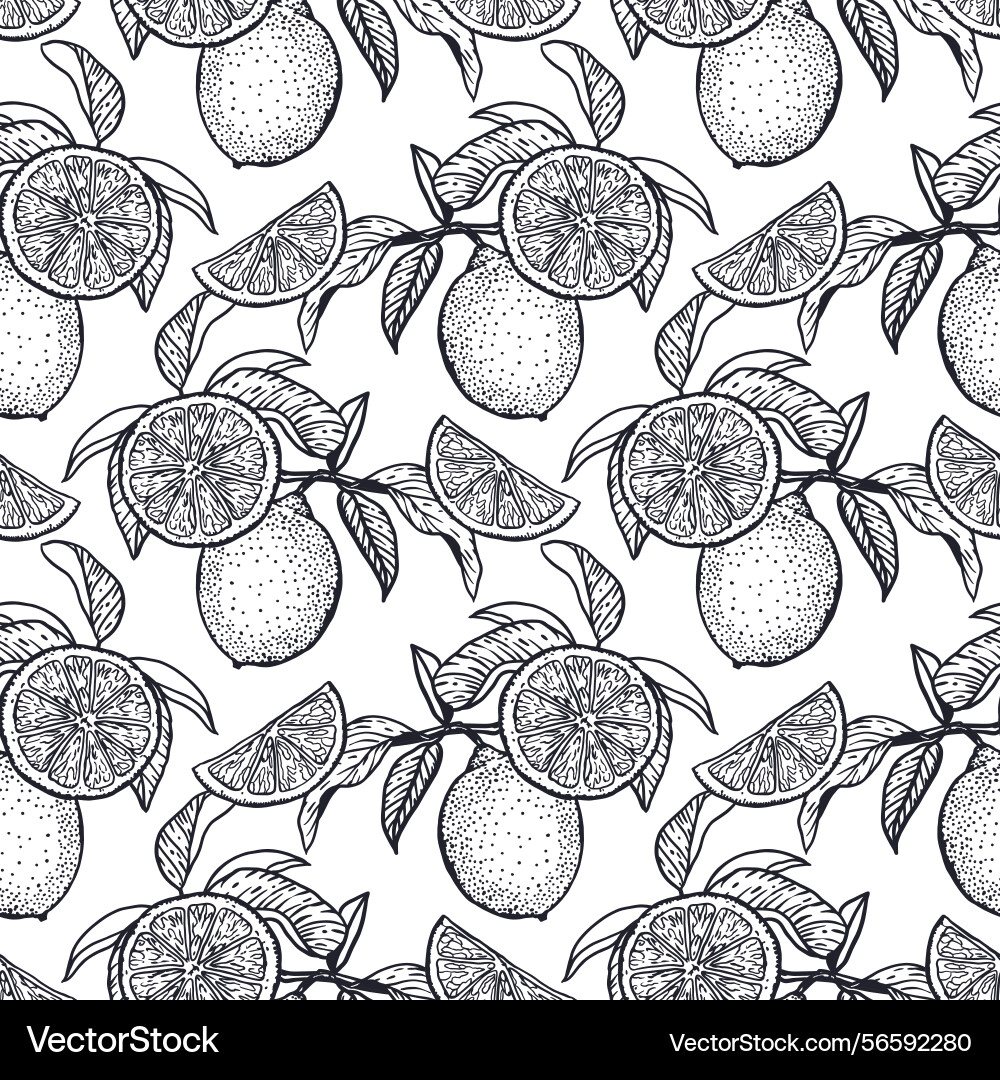 Lemon branch seamless pattern in graphic style vector image