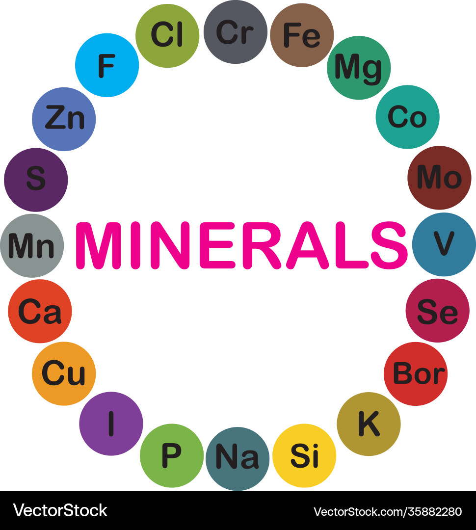 Minerals microelements and macro elements useful Minerals microelements and macro elements useful vector image