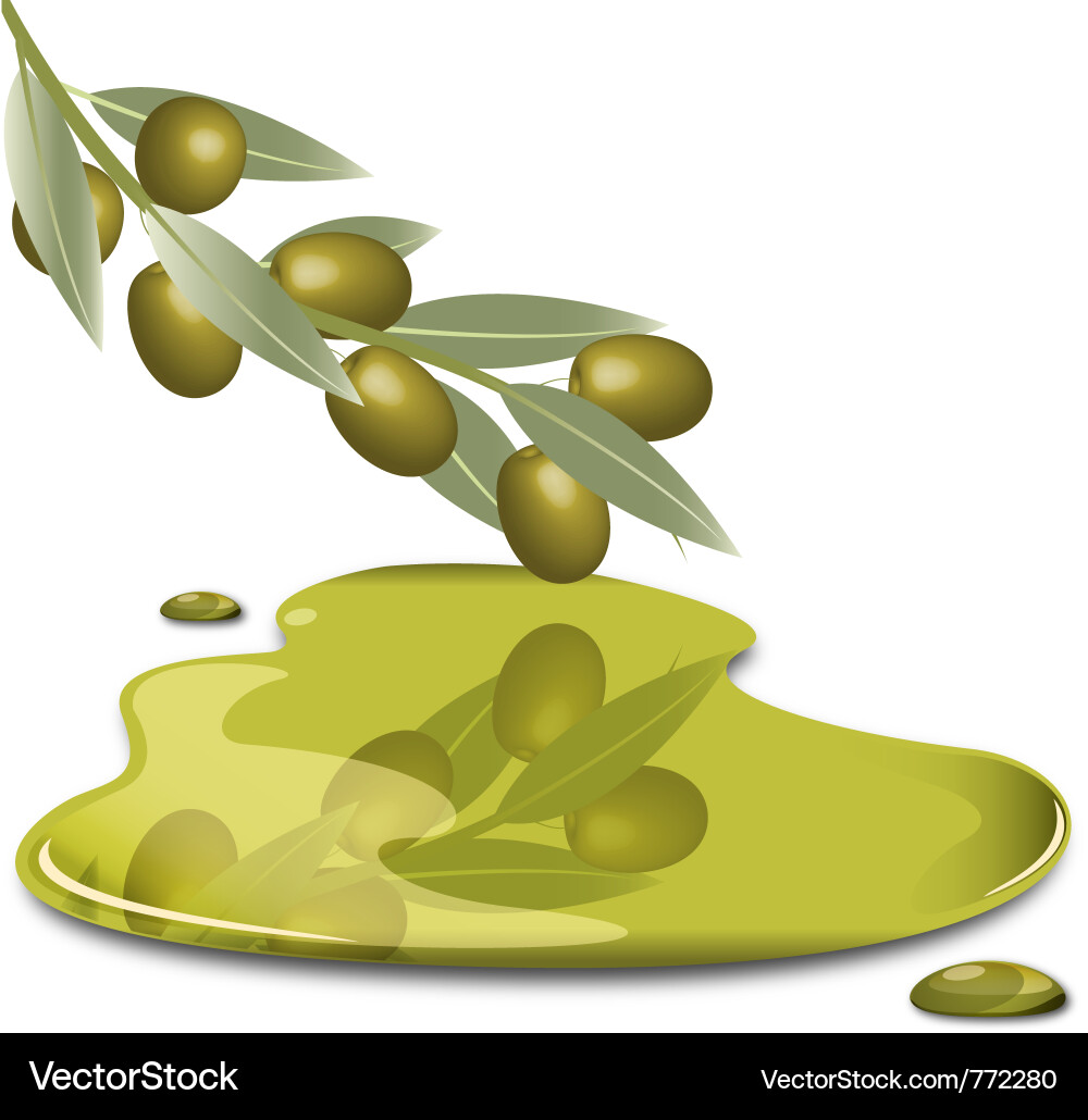Olive Oil Splash with Branch Vector Image