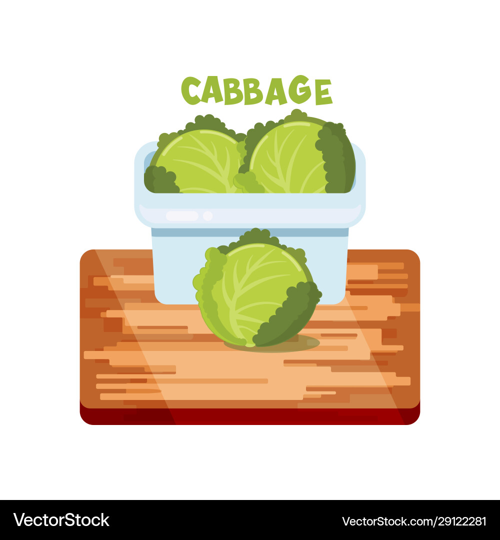 Cabbage flat design Cabbage flat design vector image