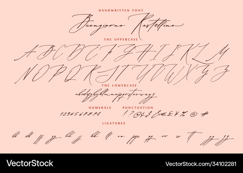 Handwritten script calligraphy cursive font Handwritten script calligraphy cursive font vector image