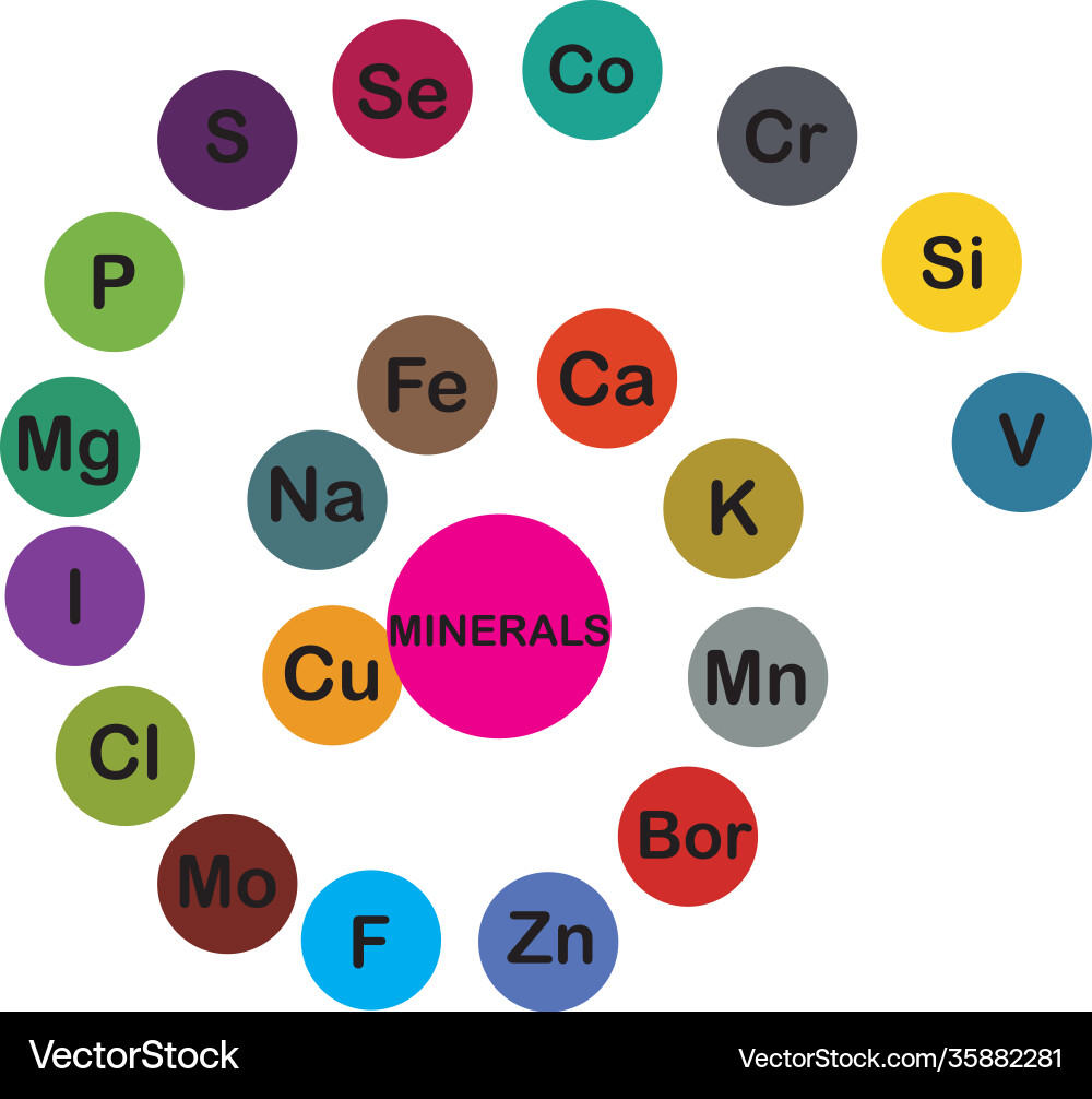 Minerals microelements and macro elements useful Minerals microelements and macro elements useful vector image