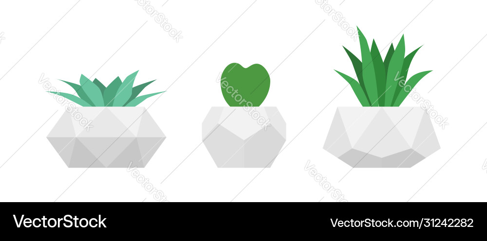 Succulents in geometric concrete pots set Succulents in geometric concrete pots set vector image