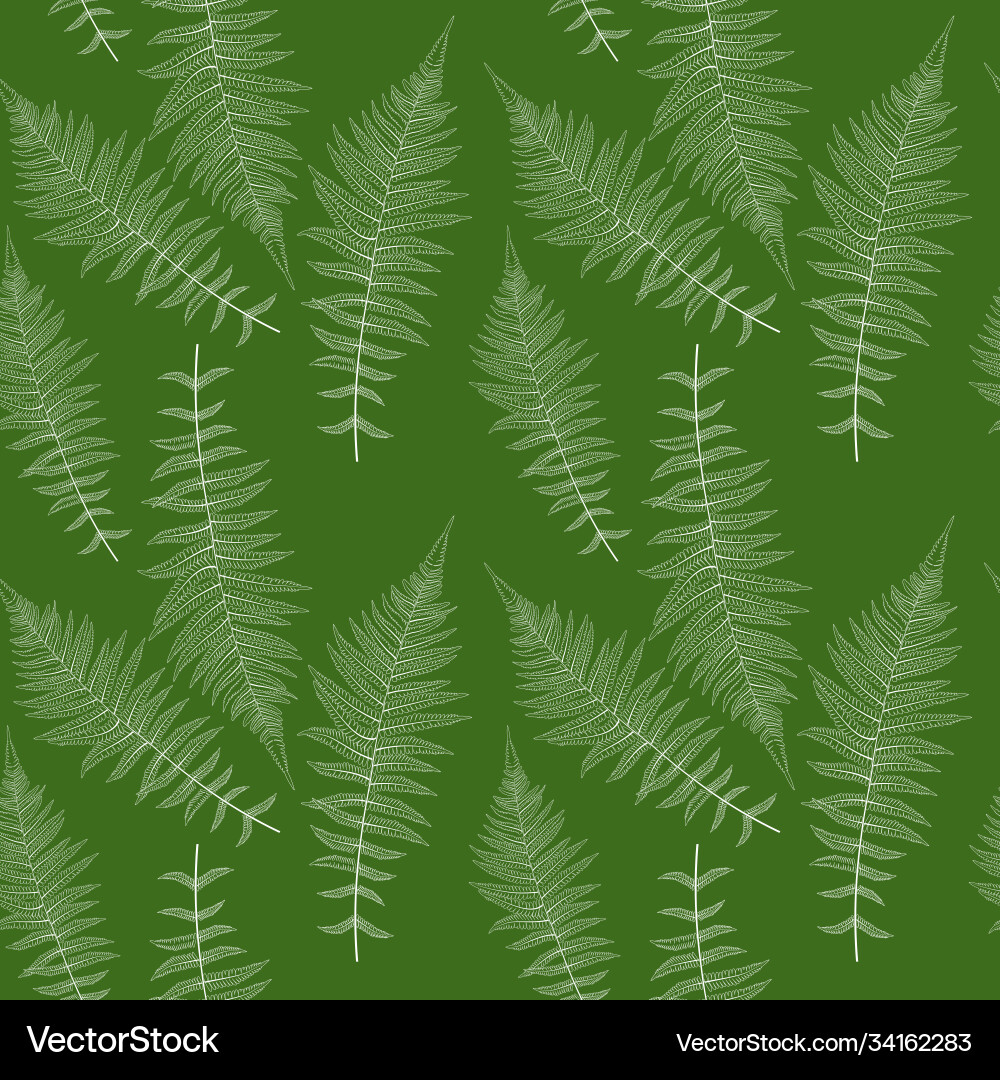 Elegant Fern Leaf Pattern Vector Image