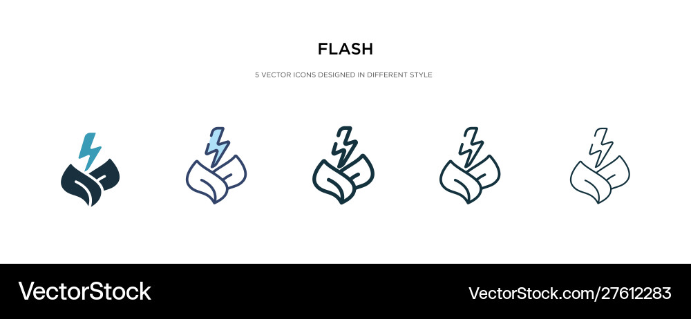 Flash icon in different style two colored vector image