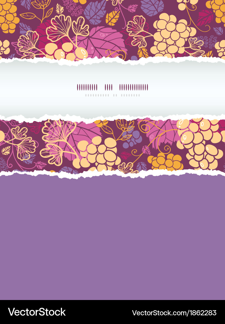 Grapevine Seamless Pattern - Torn Frame vector image