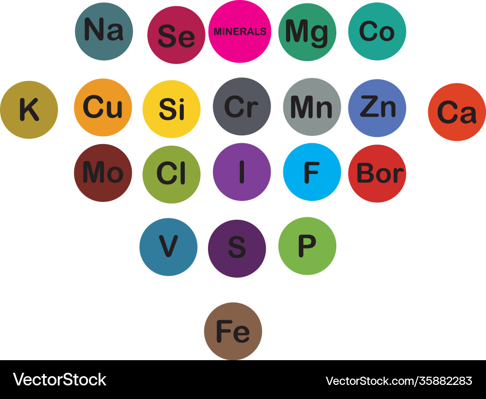 Minerals microelements and macro elements useful vector image