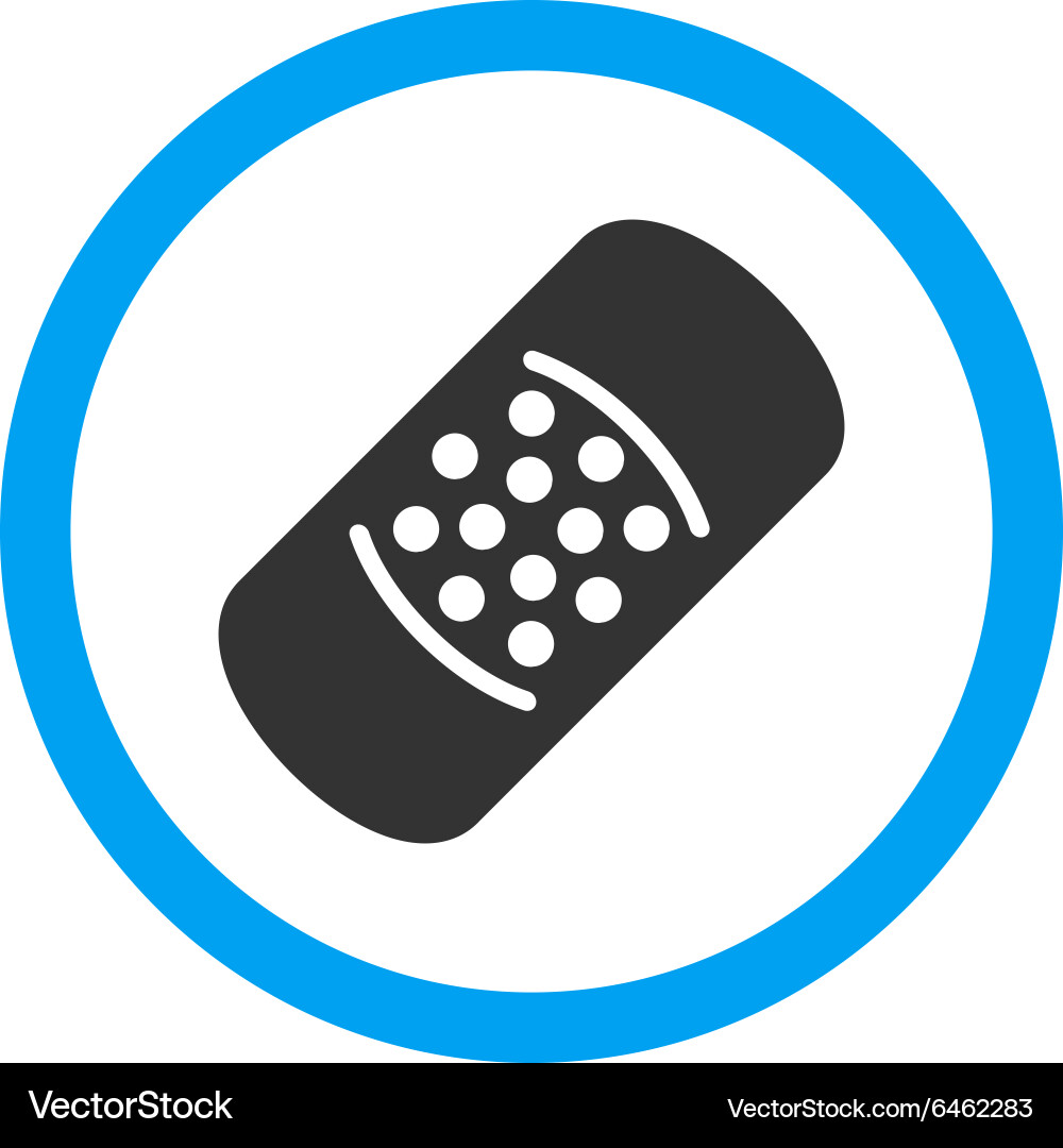 Patch rounded icon Vector Image