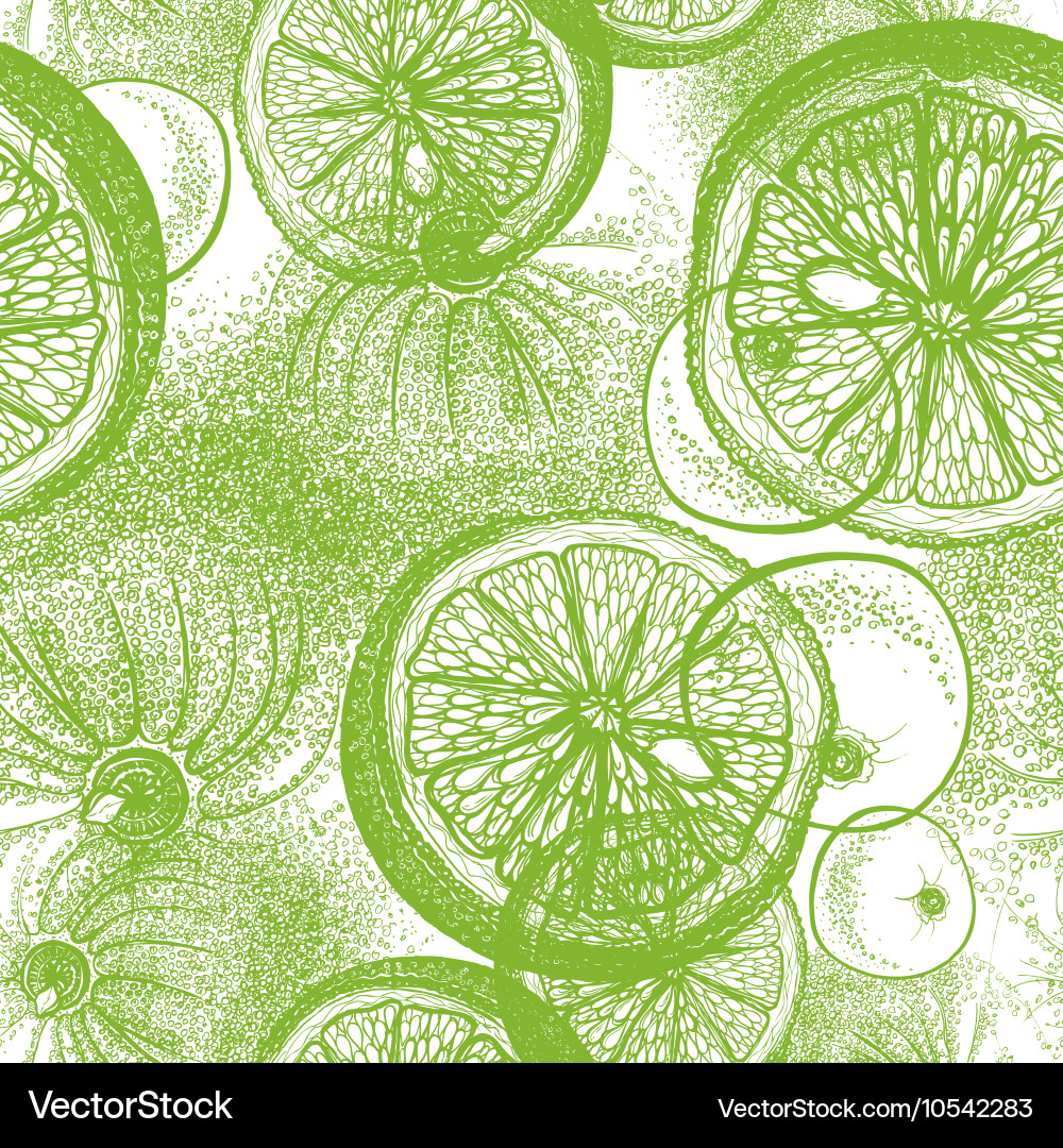 Seamless pattern with hand drawn lime vector image