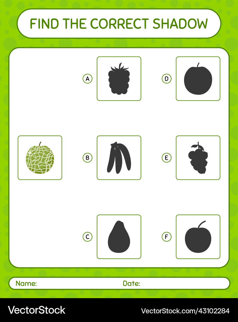 Find the correct shadows game with cantaloupe vector image