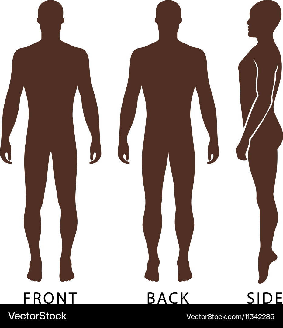 Bald Man Silhouette Figure Template Vector Image