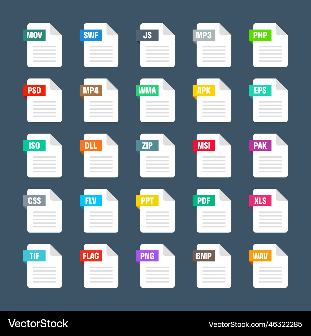 Common system file formats document types Common system file formats document types vector image
