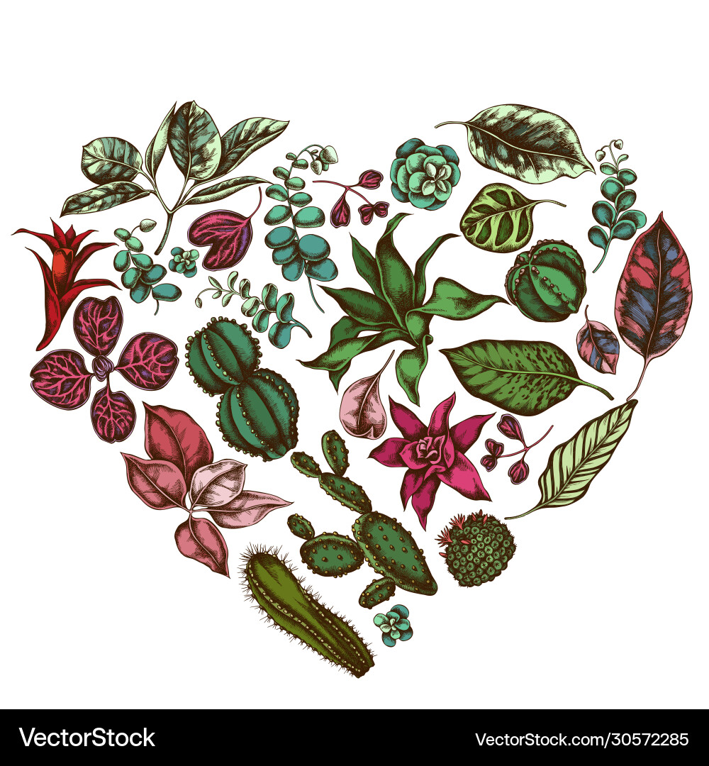 Herz florales Design mit farbigem Ficus iresine Herz florales Design mit farbigem Ficus iresine vektorbild