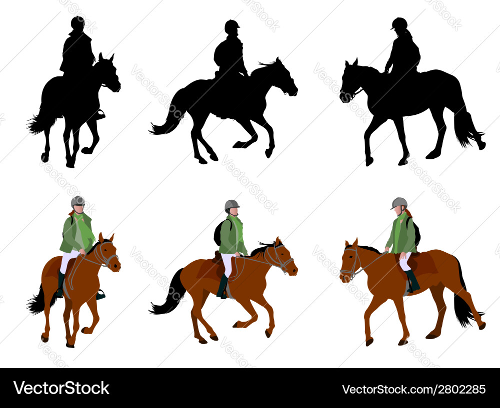 Horse Silhouettes - Riding Vector Image