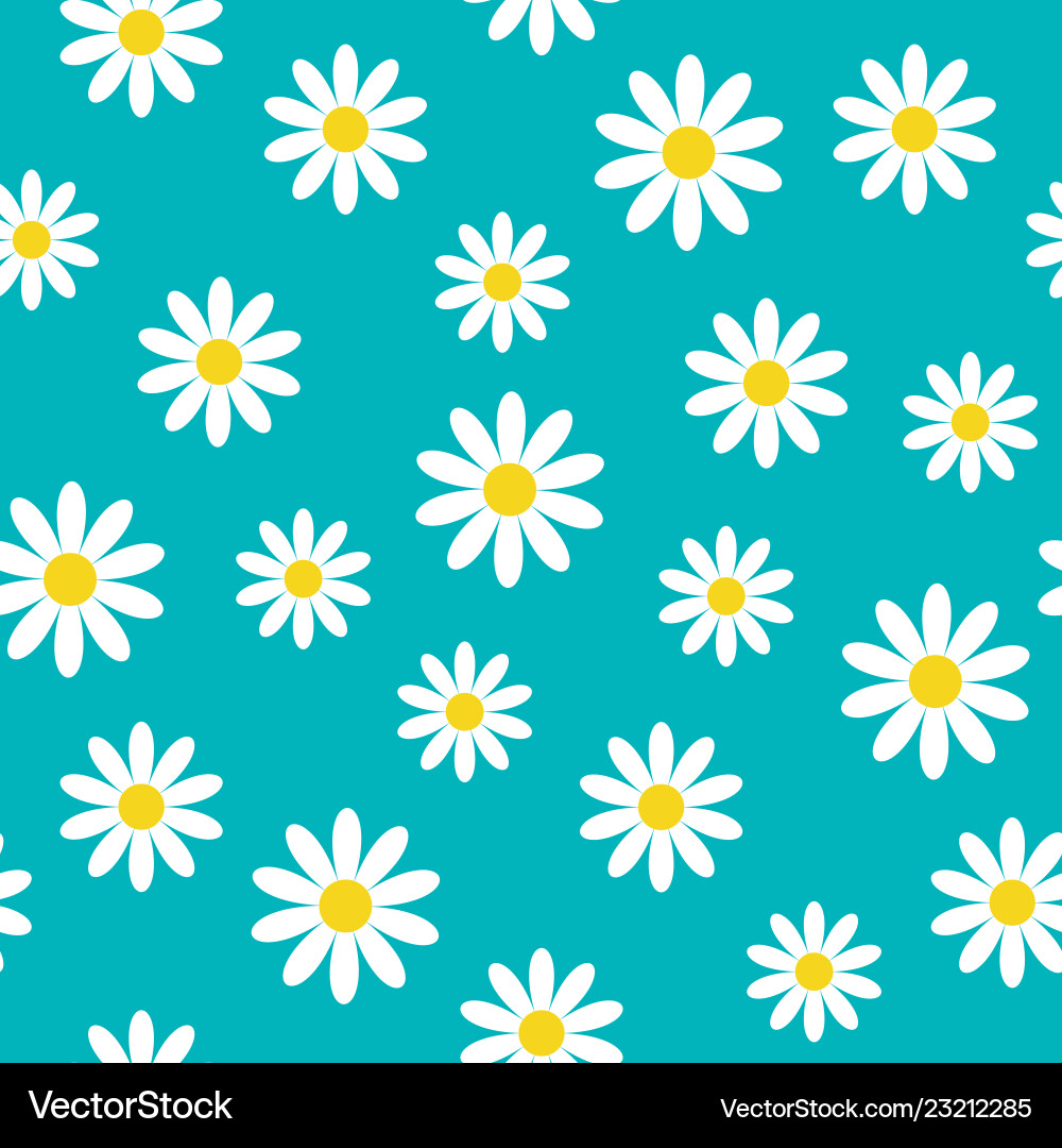 White daisy chamomile icon cute flower plant White daisy chamomile icon cute flower plant vector image