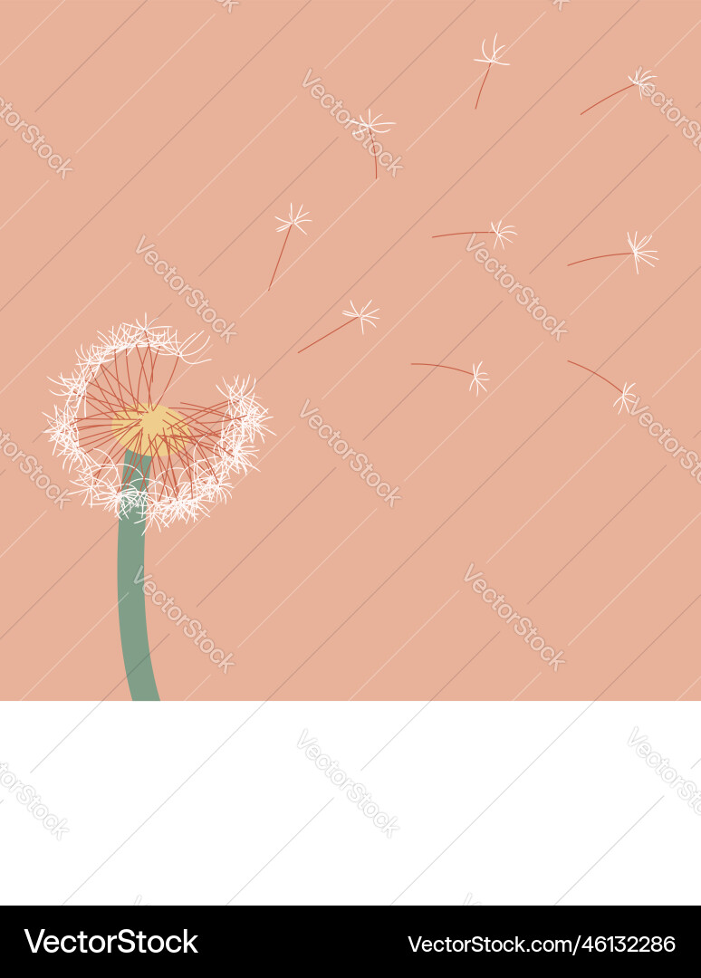 A sprig of dandelion with soft boho color vector image