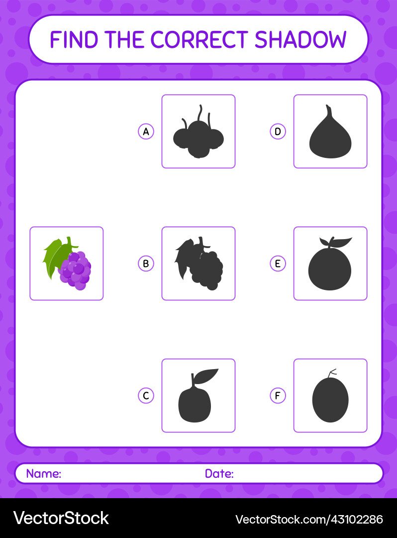 Find the correct shadows game with grape Find the correct shadows game with grape vector image