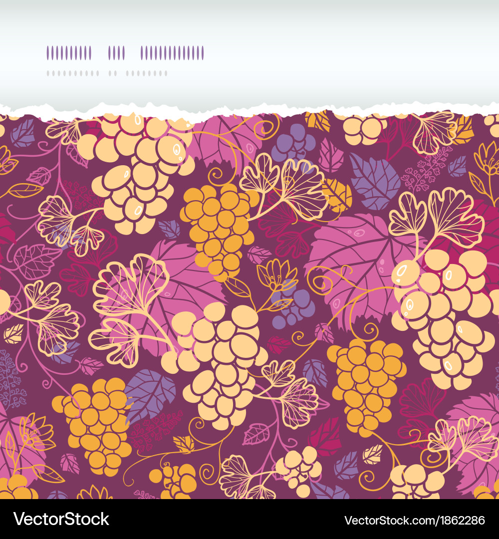 Grapevine Seamless Pattern vector image