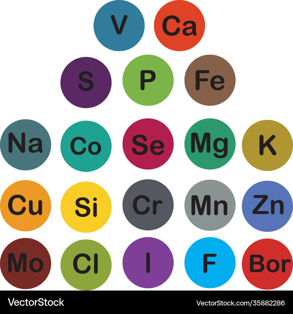 Minerals microelements and macro elements useful Minerals microelements and macro elements useful vector image