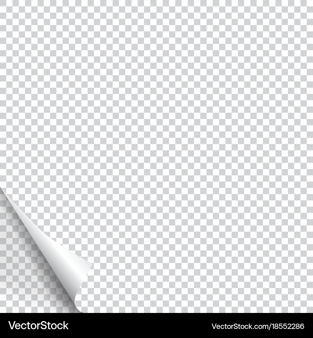 Page curl with shadow on blank sheet of paper vector image