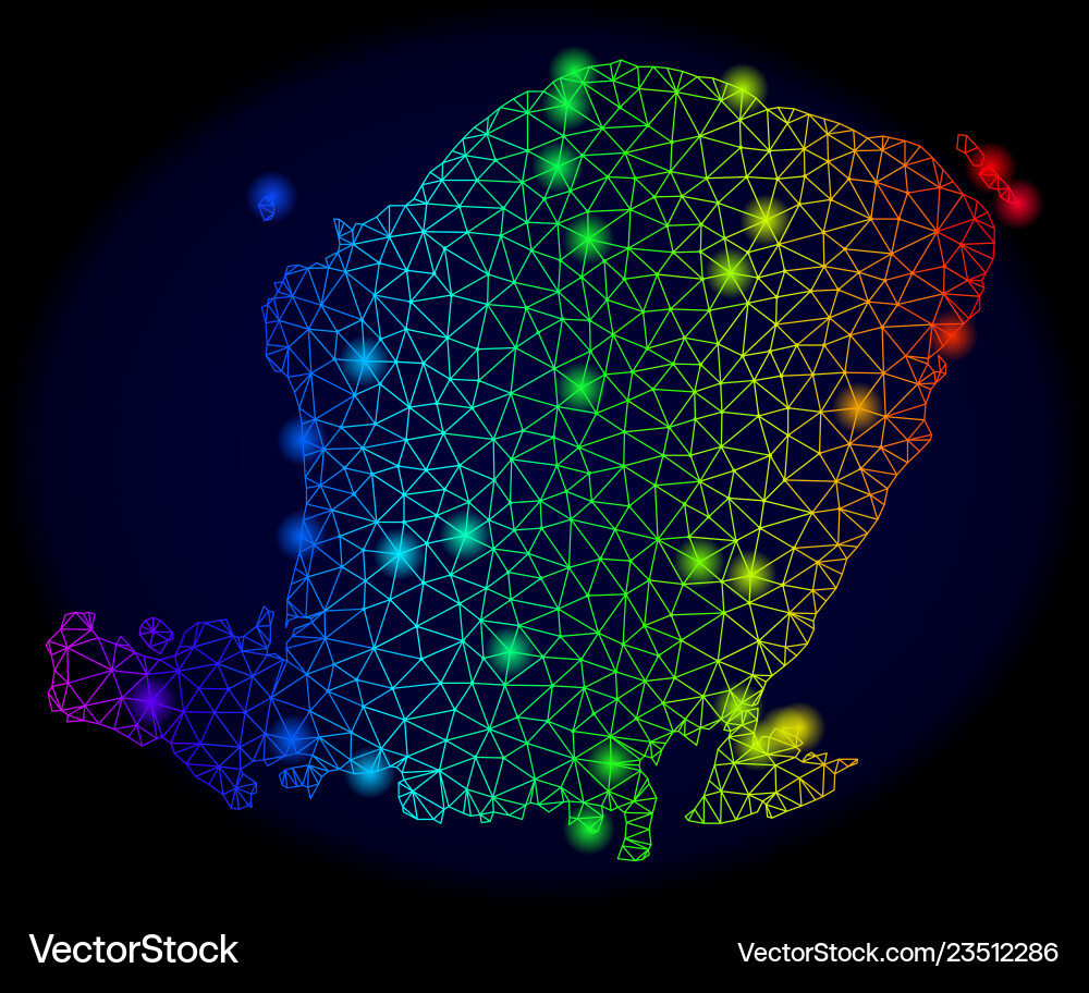 Polygonal wire frame colorful mesh map of lombok Polygonal wire frame colorful mesh map of lombok vector image