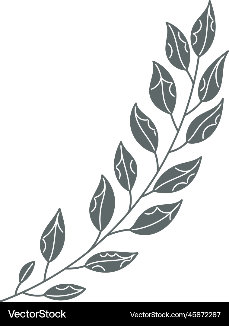 Branch with leaves floral pattern design element Branch with leaves floral pattern design element vector image