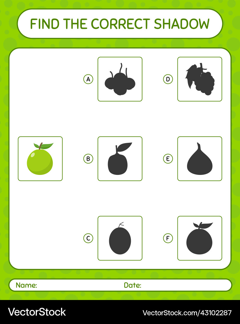 Find the correct shadows game with guava vector image