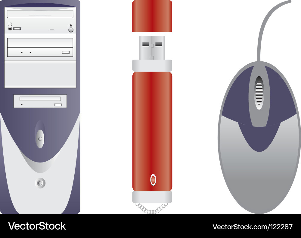 Flash memory Vector Image