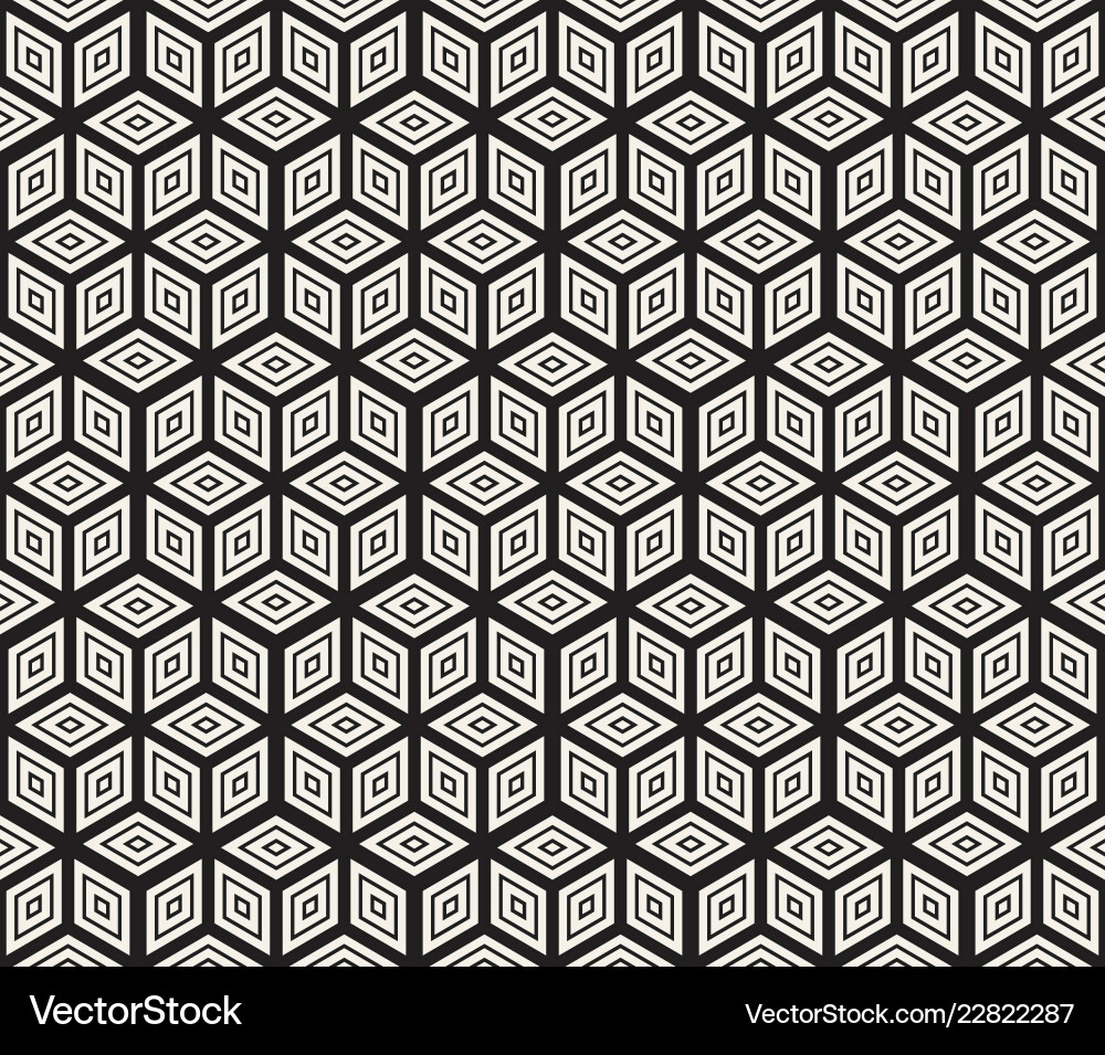 Modern Geometric Lattice Pattern vector image