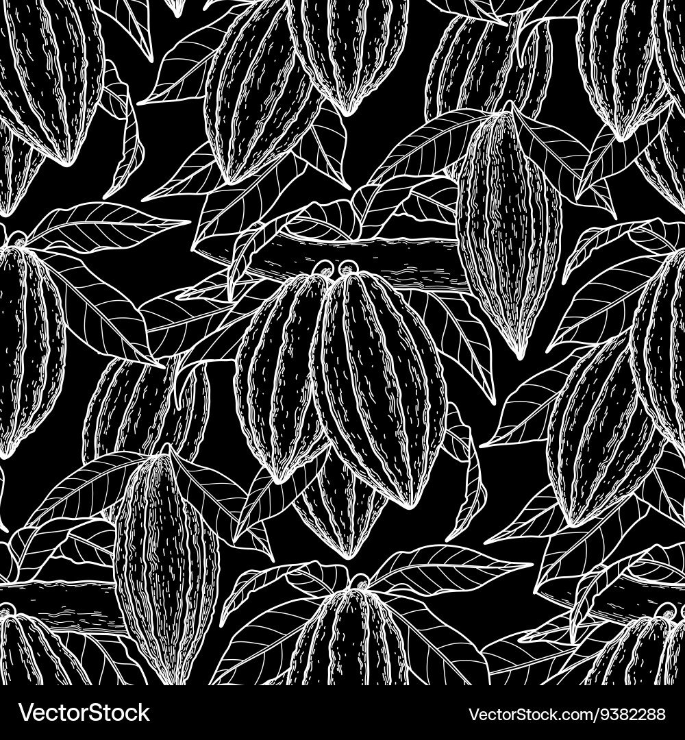 Cocoa Branch Pattern vector image