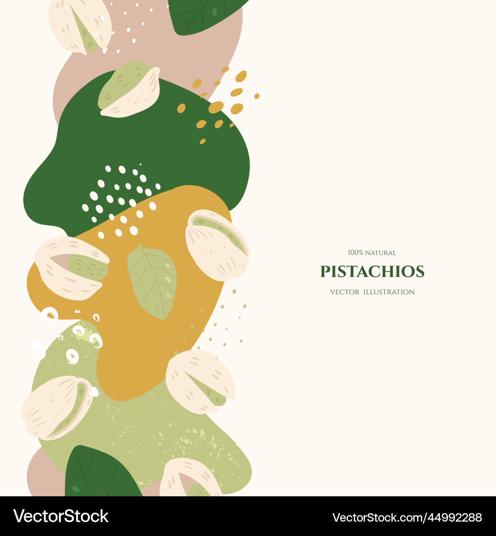 Frame with pistachios and abstract elements Frame with pistachios and abstract elements Vector Image