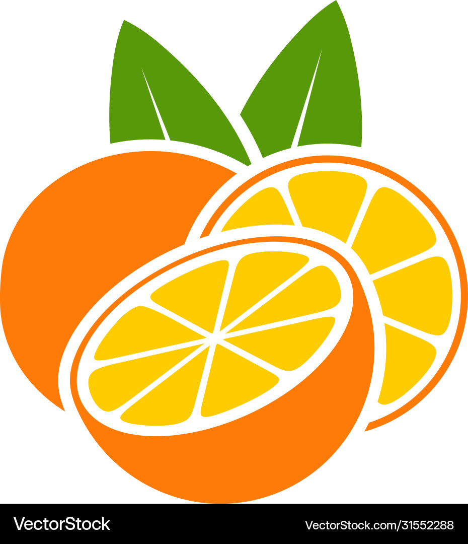 Orange Orange vector image