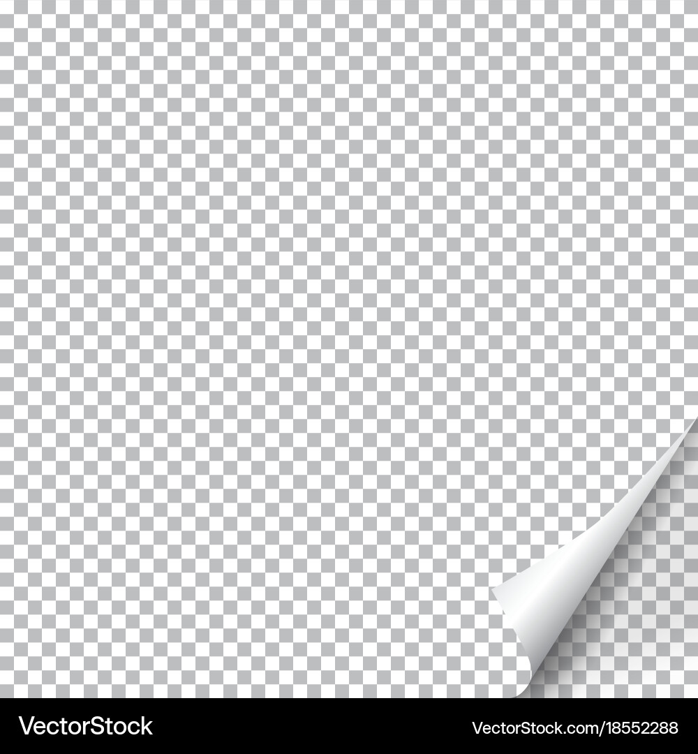 Page curl with shadow on blank sheet of paper vector image