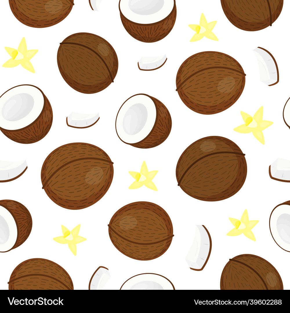 Seamless pattern with coconuts Seamless pattern with coconuts vector image