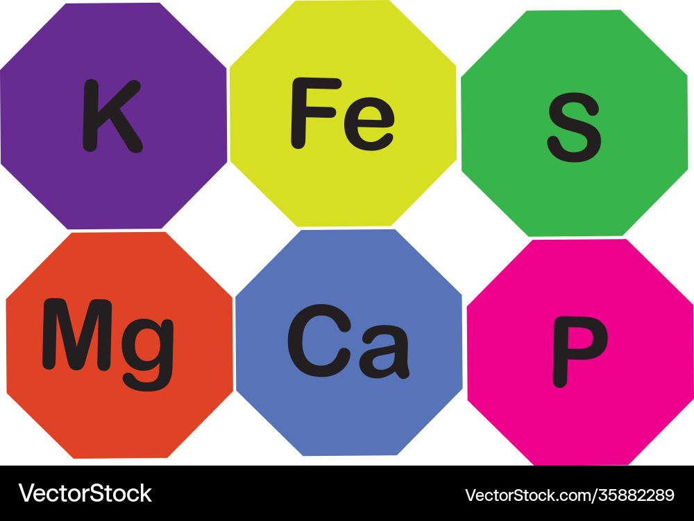 Minerals microelements and macro elements useful Minerals microelements and macro elements useful vector image