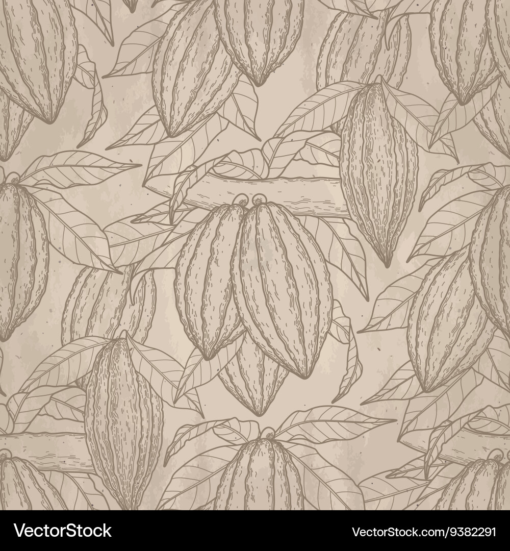 Cocoa Branch Pattern vector image