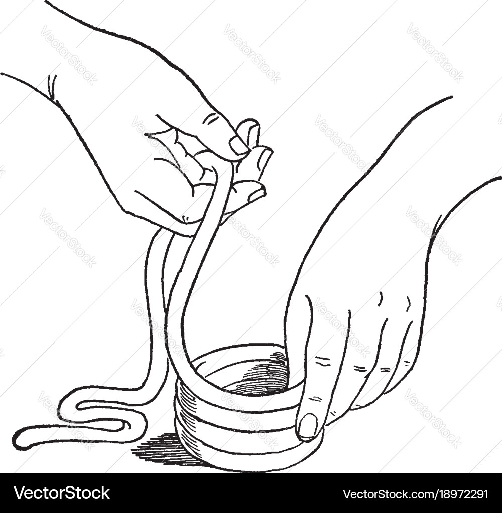 Modeling a clay container is pair of hands vector image